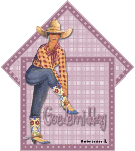 Plaatjes Cowgirl 