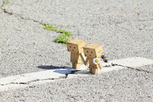Plaatjes Danbo 