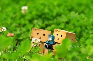 Plaatjes Danbo 