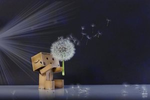 Plaatjes Danbo 