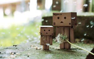 Plaatjes Danbo 