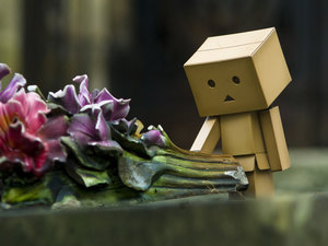 Plaatjes Danbo 