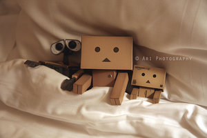 Plaatjes Danbo 