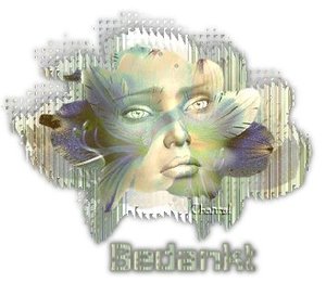 Plaatjes Dankjewel 