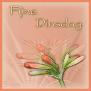Plaatjes Dinsdag 