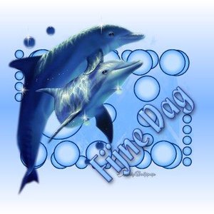 Dolfijnen Plaatjes 