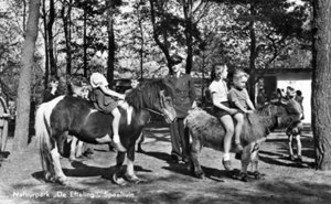 Plaatjes Efteling Efteling Nostalgie Paardjes In De Speeltuin