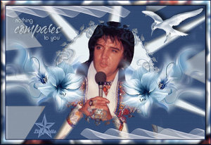 Elvis Plaatjes 