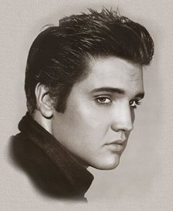 Elvis Plaatjes 