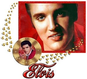 Elvis Plaatjes 