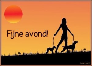 Plaatjes Fijne avond Fijne Avond Vrouw Met Honden Bij Zonsdondergang