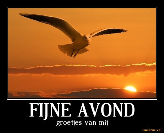 Plaatjes Fijne avond Fijne Avond, Meeuw, Zonsondergang