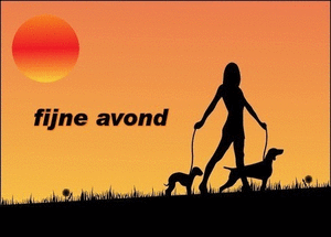 Plaatjes Fijne avond Fijne Avond Gif Vrouw Met Honden Bij Zonsdondergang