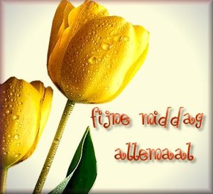Plaatjes Fijne 
