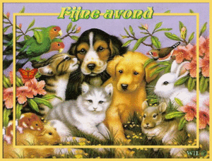 Plaatjes Fijne 