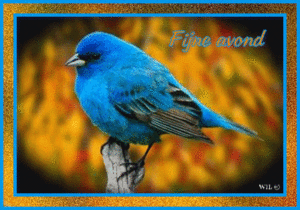 Plaatjes Fijne Fijne Avond Blauwe Vogel Glitter