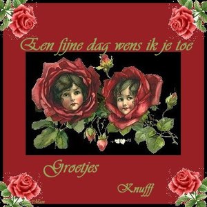 Plaatjes Fijne 