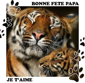 Plaatjes Franse teksten 