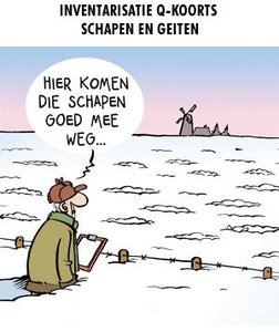Plaatjes Geinplaatjes 