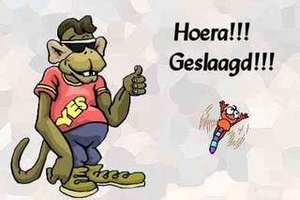 Geslaagd Plaatjes 