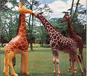 Giraffen Plaatjes 