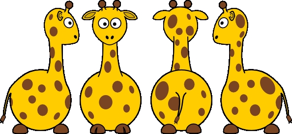 Giraffen Plaatjes Giraffe Van Zij Voor Achter En Zij Aanzicht