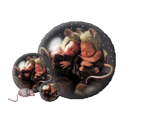 Globes Plaatjes 
