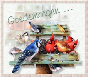 Plaatjes Goedemorgen 