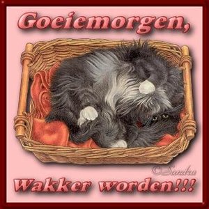 Plaatjes Goedemorgen 