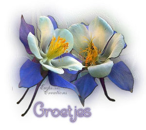 Plaatjes Groetjes 