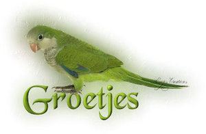 Plaatjes Groetjes 