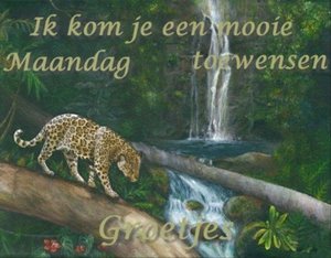 Plaatjes Groetjes 