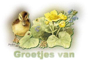 Plaatjes Groetjes 