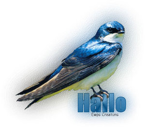 Plaatjes Hallo 