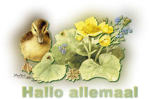 Plaatjes Hallo 