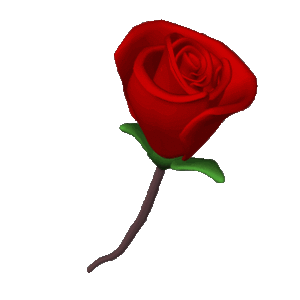 Hartjes Plaatjes Hartje Roos Rood