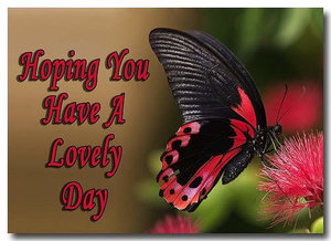 Plaatjes Have a nice day 
