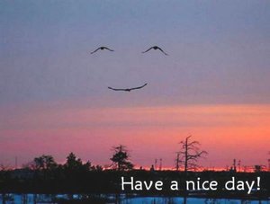 Plaatjes Have a nice day 