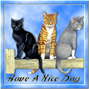 Plaatjes Have a nice day 