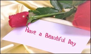 Plaatjes Have a nice day 