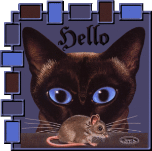 Plaatjes Hello 