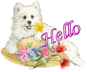 Plaatjes Hello 