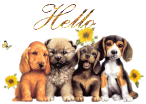 Plaatjes Hello Hello Honden