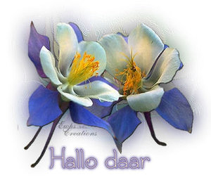 Plaatjes Hello 
