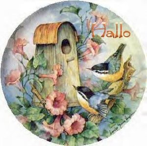 Plaatjes Hello 