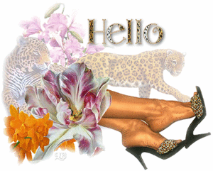 Plaatjes Hello 