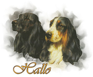 Plaatjes Hello 