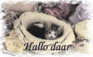 Plaatjes Hello 