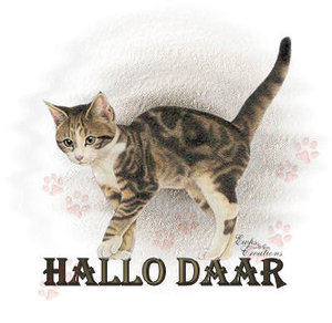 Plaatjes Hello 
