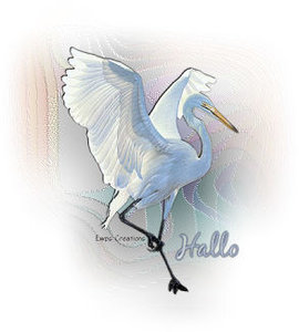 Plaatjes Hello 